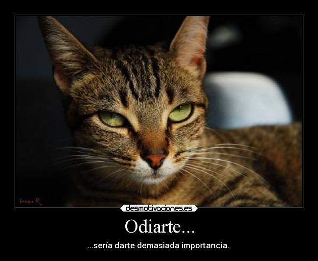 Odiarte... -