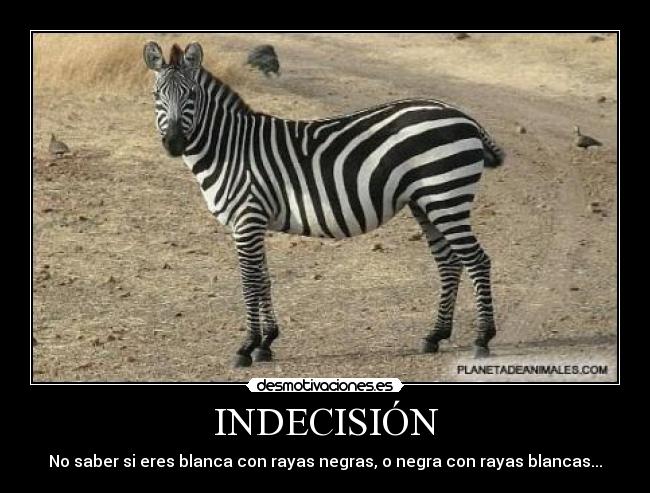 INDECISIÓN - No saber si eres blanca con rayas negras, o negra con rayas blancas...