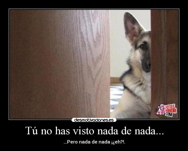 Tú no has visto nada de nada... - 