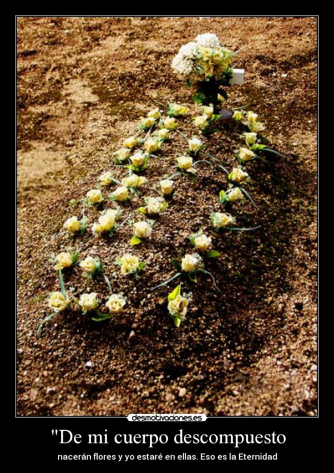 De mi cuerpo descompuesto - 