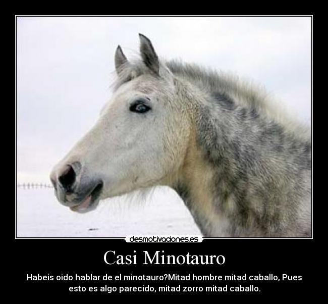 Casi Minotauro - Habeis oido hablar de el minotauro?Mitad hombre mitad caballo, Pues
esto es algo parecido, mitad zorro mitad caballo.