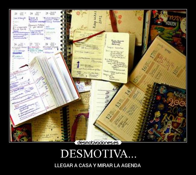 DESMOTIVA... -