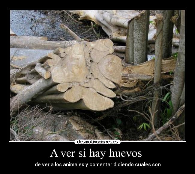 carteles challenged desmotivaciones