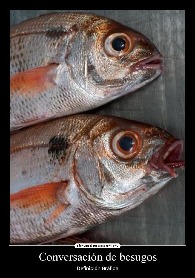 Conversación de besugos -