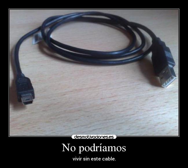 No podríamos - vivir sin este cable.