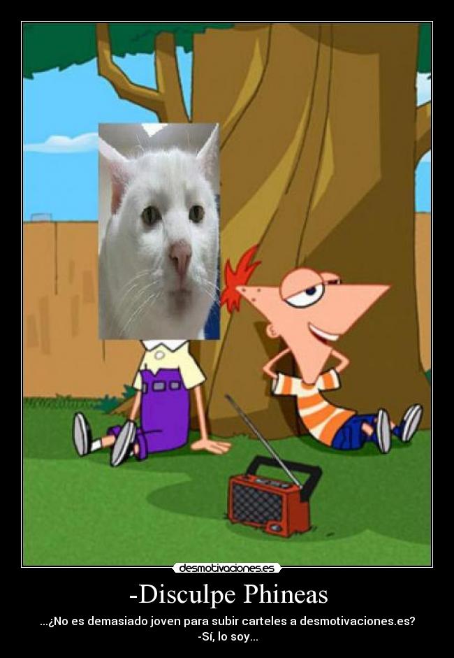 -Disculpe Phineas - ...¿No es demasiado joven para subir carteles a desmotivaciones.es?
-Sí, lo soy...
