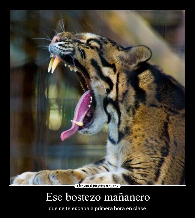 Ese bostezo mañanero - 