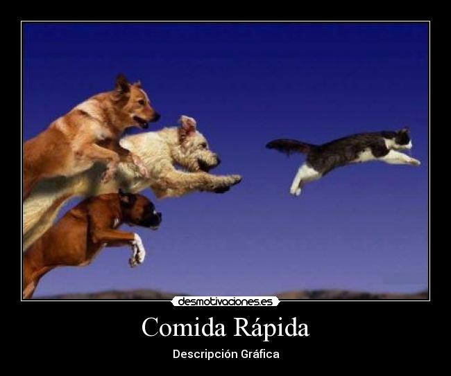 carteles comida comida rapida gatos perros desmotivaciones