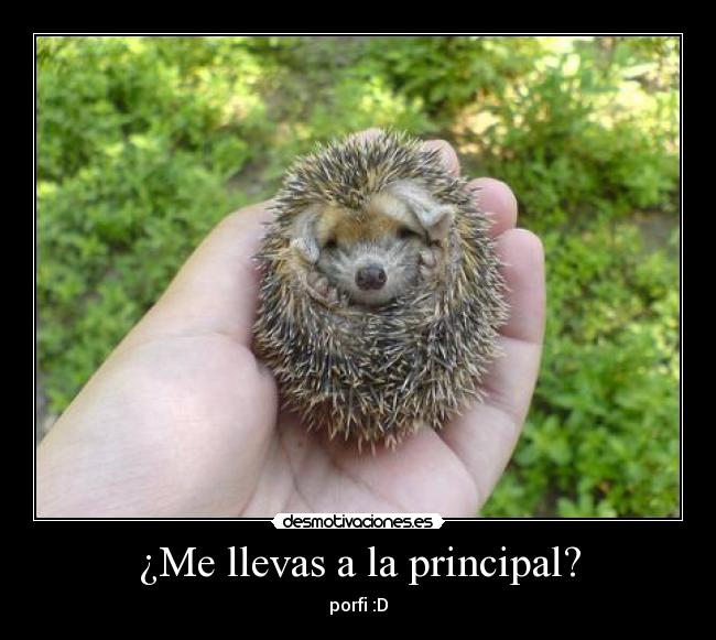 ¿Me llevas a la principal? -