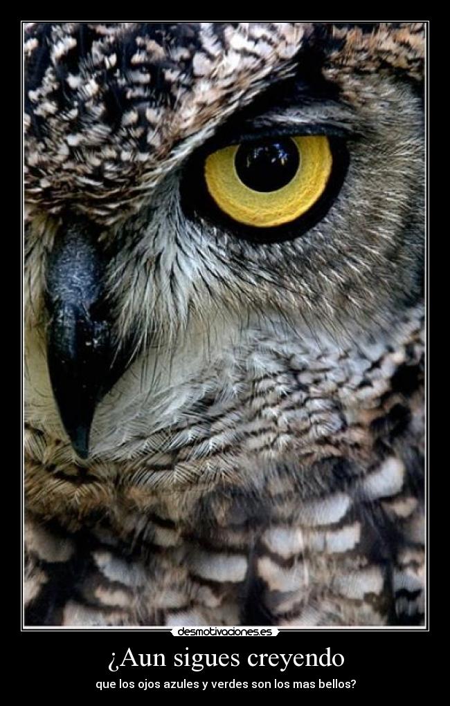 ¿Aun sigues creyendo - que los ojos azules y verdes son los mas bellos?