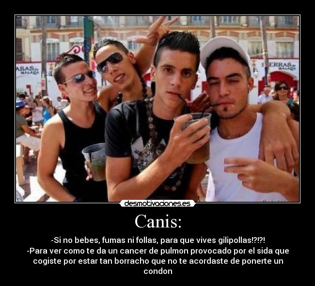 Canis: - -Si no bebes, fumas ni follas, para que vives gilipollas!?!?!
-Para ver como te da un cancer de pulmon provocado por el sida que
cogiste por estar tan borracho que no te acordaste de ponerte un
condon