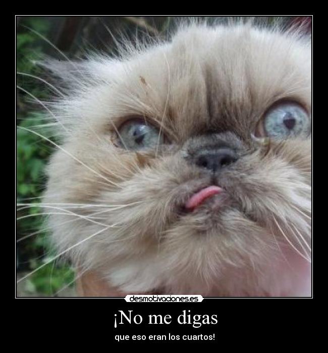 ¡No me digas - 