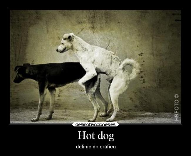 Hot dog - 