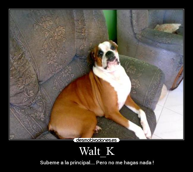 Walt_K - Subeme a la principal.... Pero no me hagas nada !