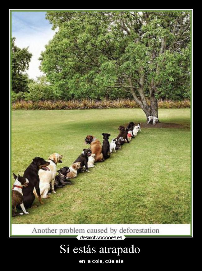 Si estás atrapado -