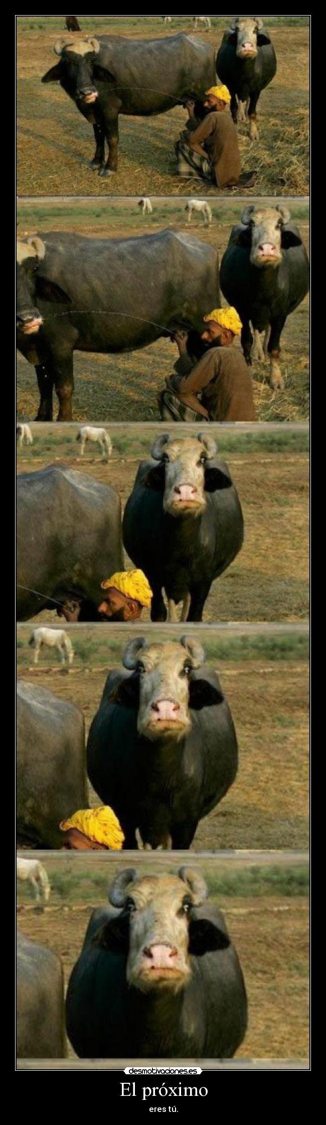 carteles proximo desmotivaciones