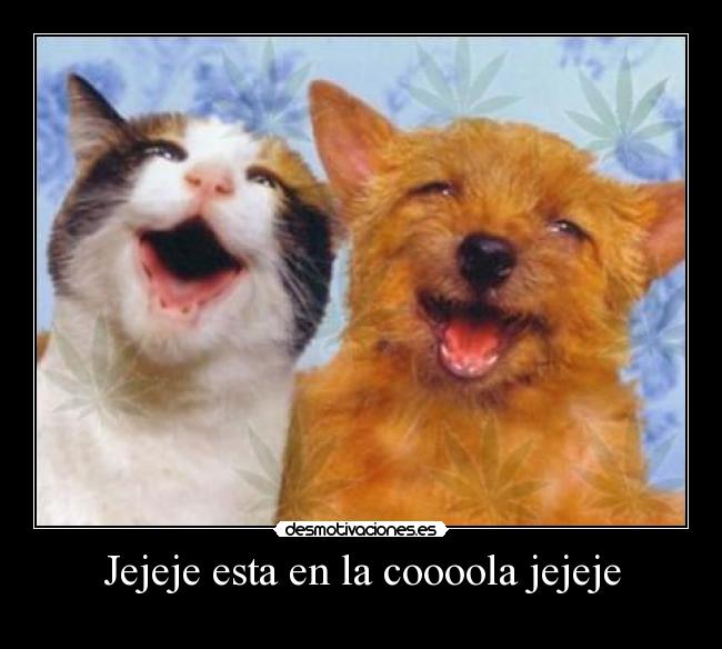 Jejeje esta en la coooola jejeje -