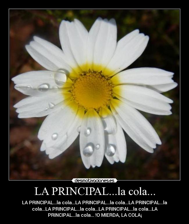 LA PRINCIPAL...la cola... - LA PRINCIPAL...la cola...LA PRINCIPAL...la cola...LA PRINCIPAL...la
cola...LA PRINCIPAL...la cola...LA PRINCIPAL...la cola...LA
PRINCIPAL...la cola... !O MIERDA, LA COLA¡