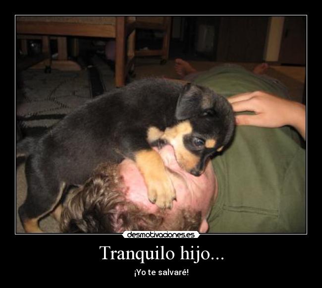 carteles salvare desmotivaciones