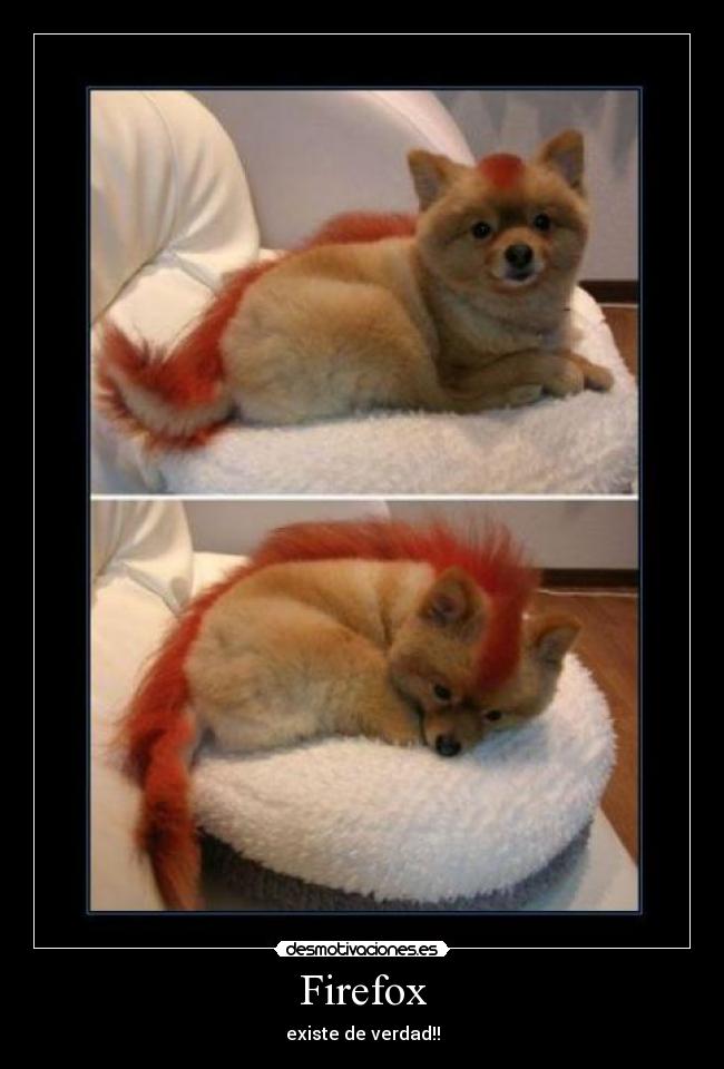 Firefox -