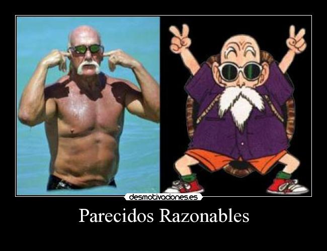 Parecidos Razonables -