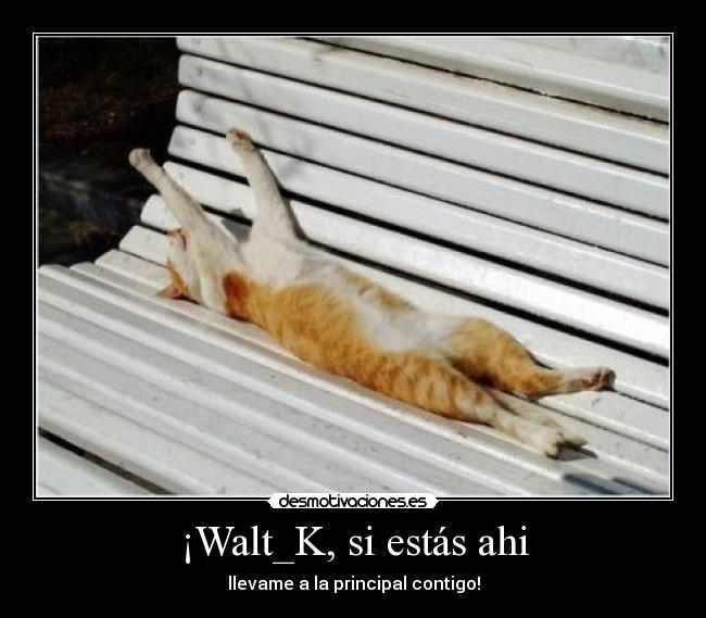 ¡Walt_K, si estás ahi - llevame a la principal contigo!