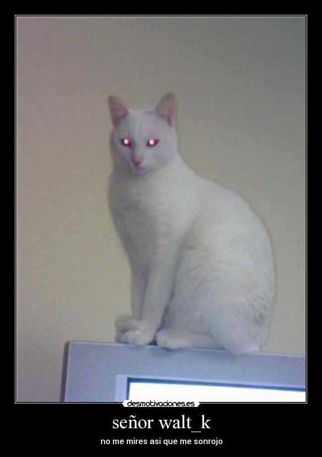señor walt_k -