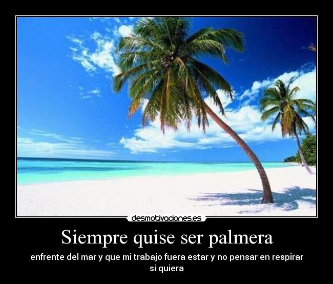 Siempre quise ser palmera -