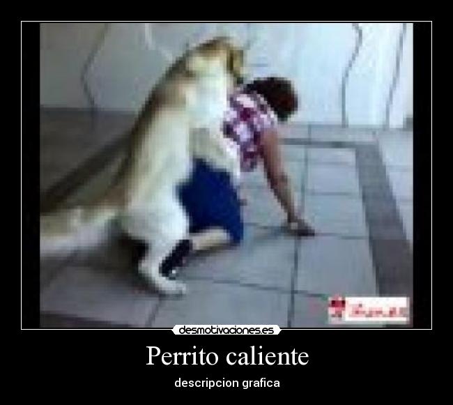 Perrito caliente -