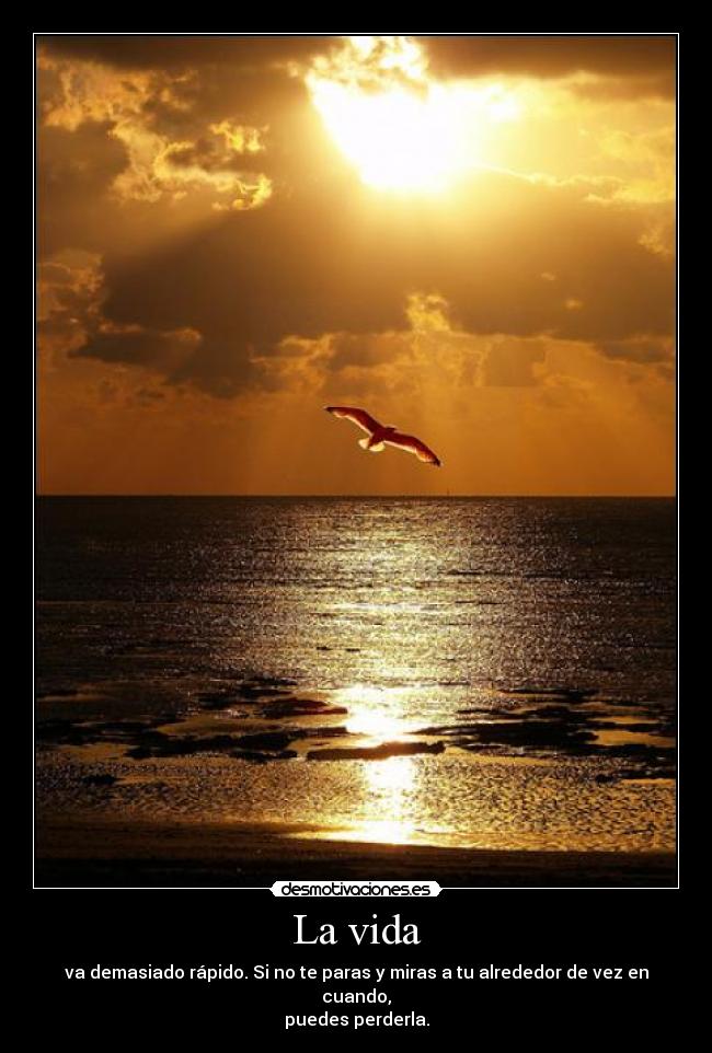 La vida - 