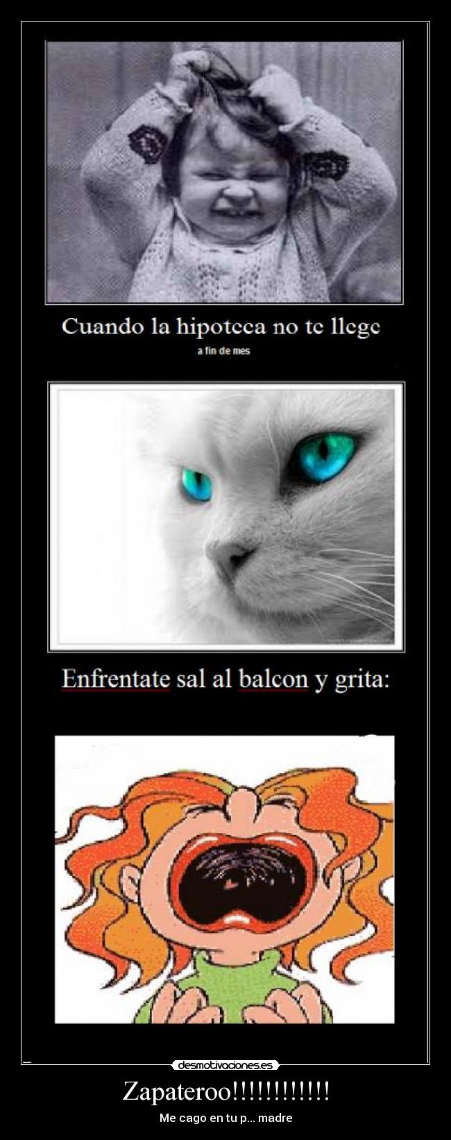 Zapateroo!!!!!!!!!!!! - Me cago en tu p... madre