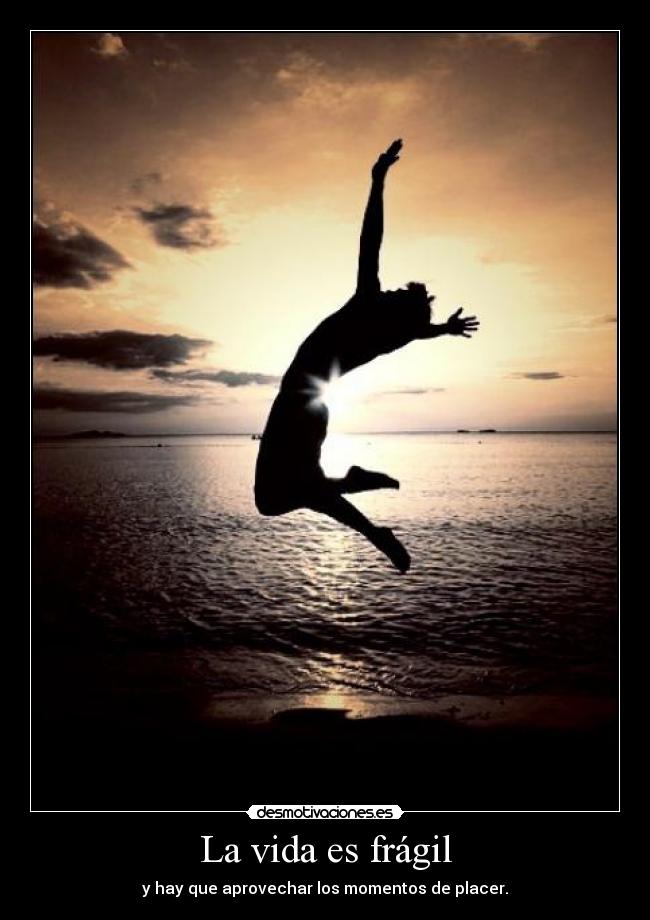 La vida es frágil -