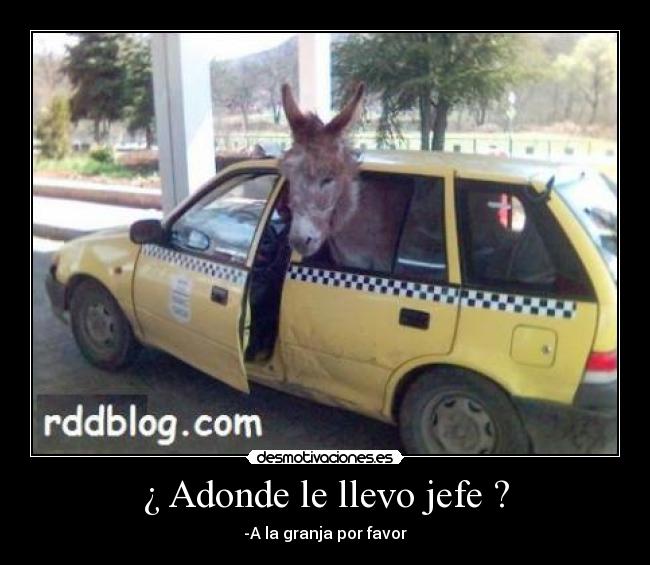 carteles burros taxis desmotivaciones