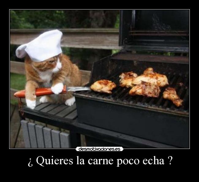 ¿ Quieres la carne poco echa ? - 