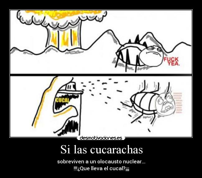 Si las cucarachas -
