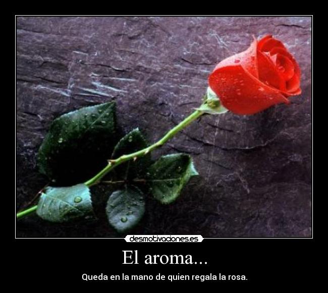 El aroma... - Queda en la mano de quien regala la rosa.