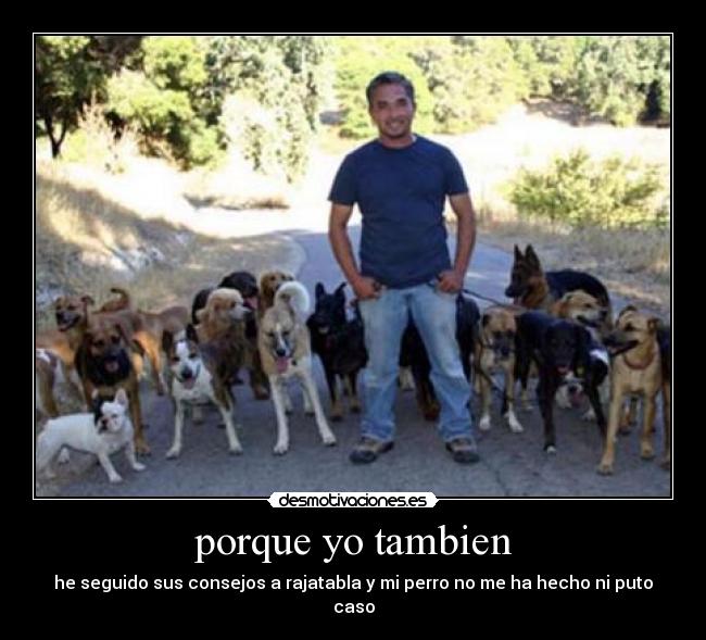 porque yo tambien - he seguido sus consejos a rajatabla y mi perro no me ha hecho ni puto caso