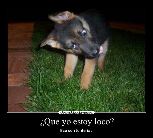 ¿Que yo estoy loco? - 