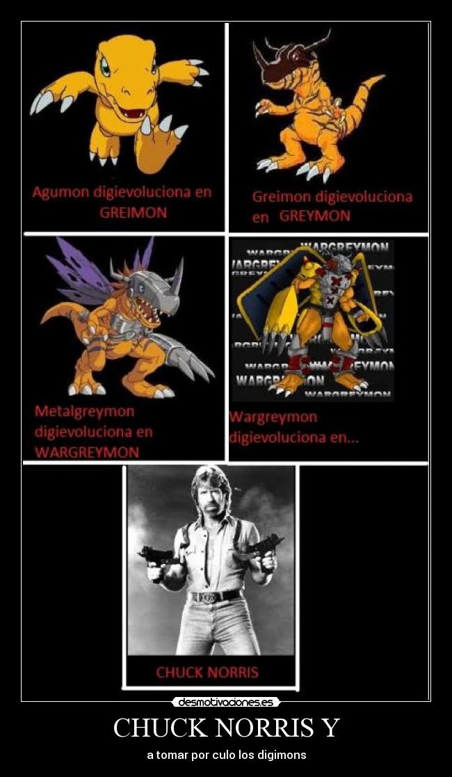 CHUCK NORRIS Y - a tomar por culo los digimons