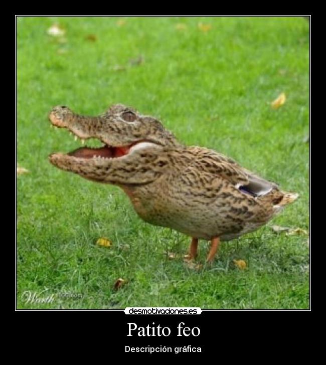Patito feo -