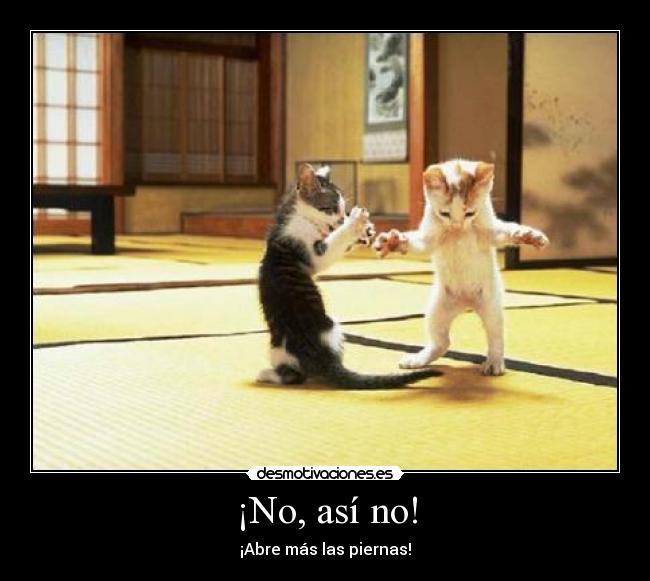 ¡No, así no! - 