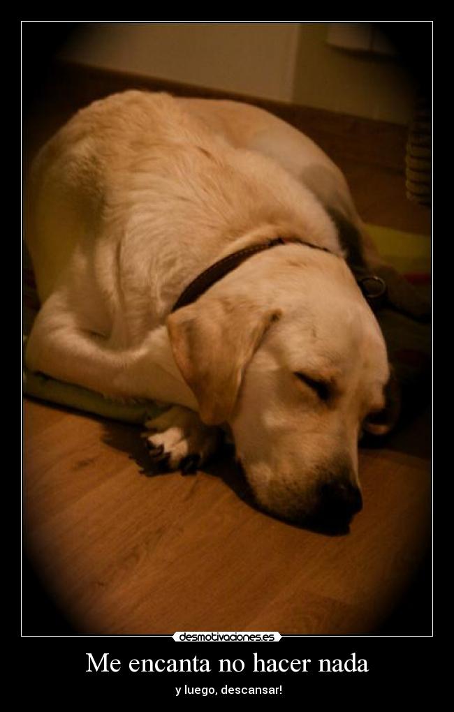 Me encanta no hacer nada - y luego, descansar!