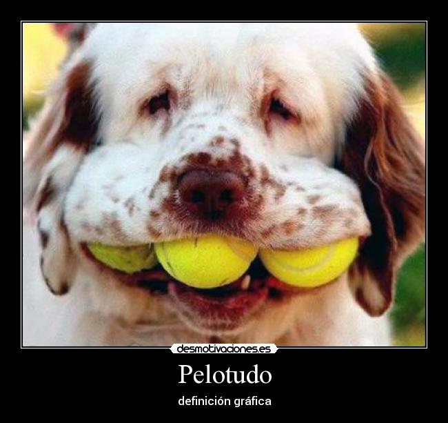 Pelotudo - 