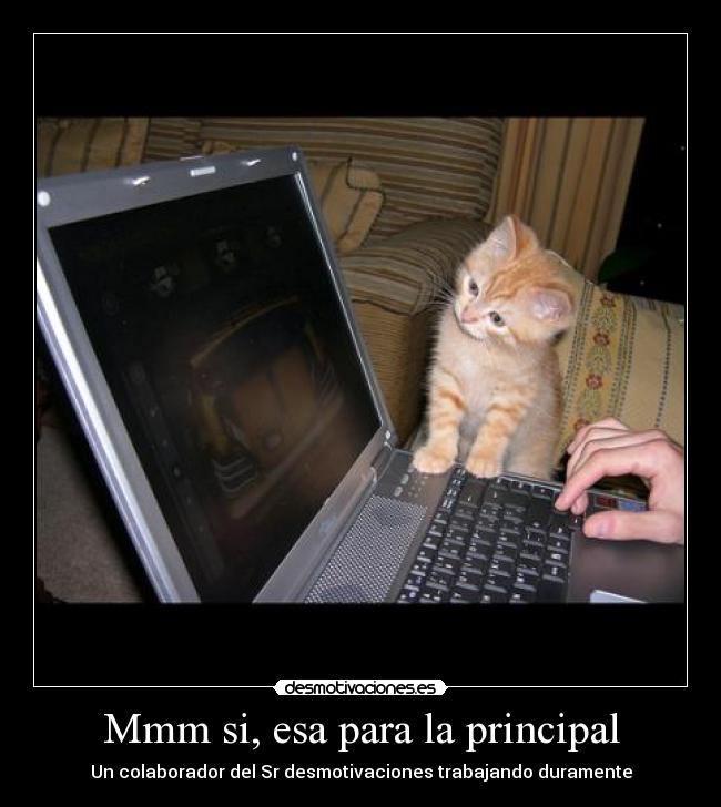 carteles colaborador del desmotivaciones trabajando duramente desmotivaciones