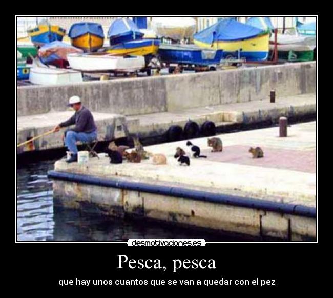 carteles pesca pesca desmotivaciones