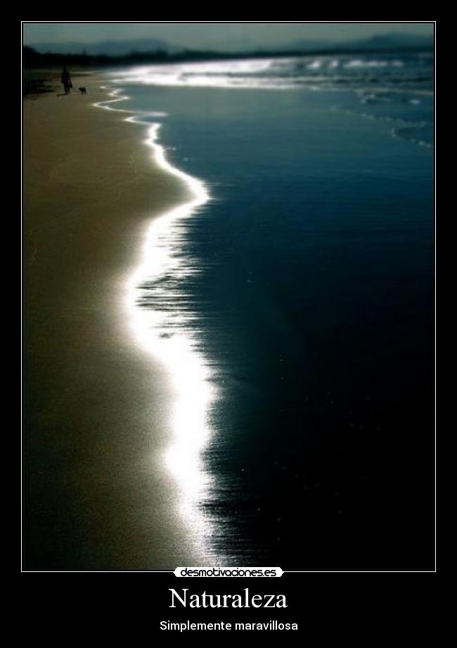 carteles naturaleza naturaleza simplemente maravillosa motivacion zorra implakable desmotivaciones