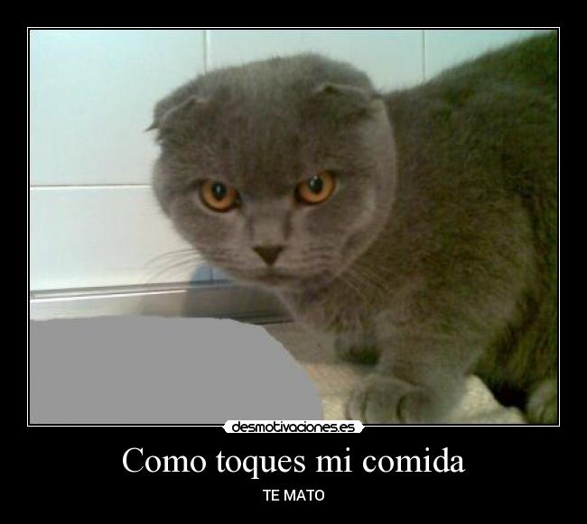 Como toques mi comida -