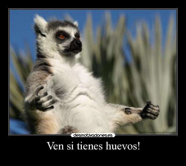 Ven si tienes huevos! - 