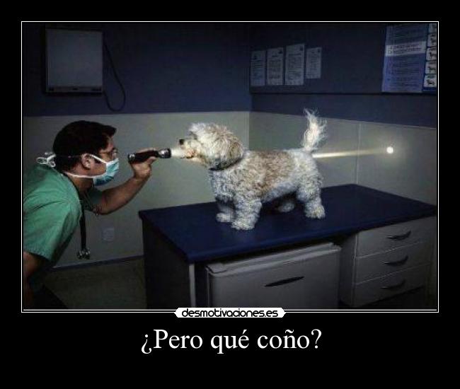 ¿Pero qué coño? -