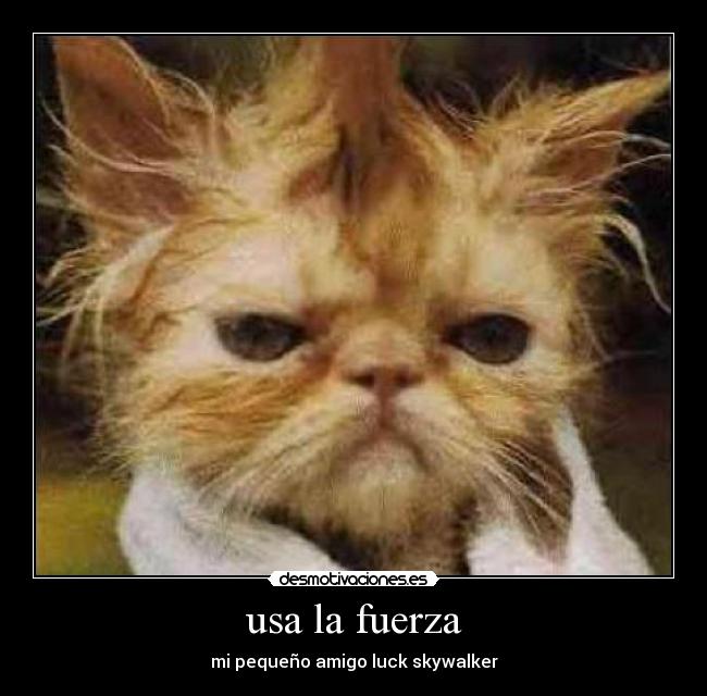 usa la fuerza - 